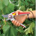 Wolf Garten Secateurs