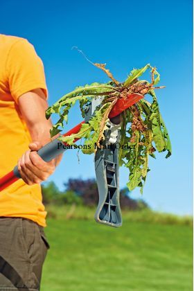 Wolf IOWA Weeder In Action