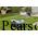 Gardena SILENO city 15001-28 Robotic Mower